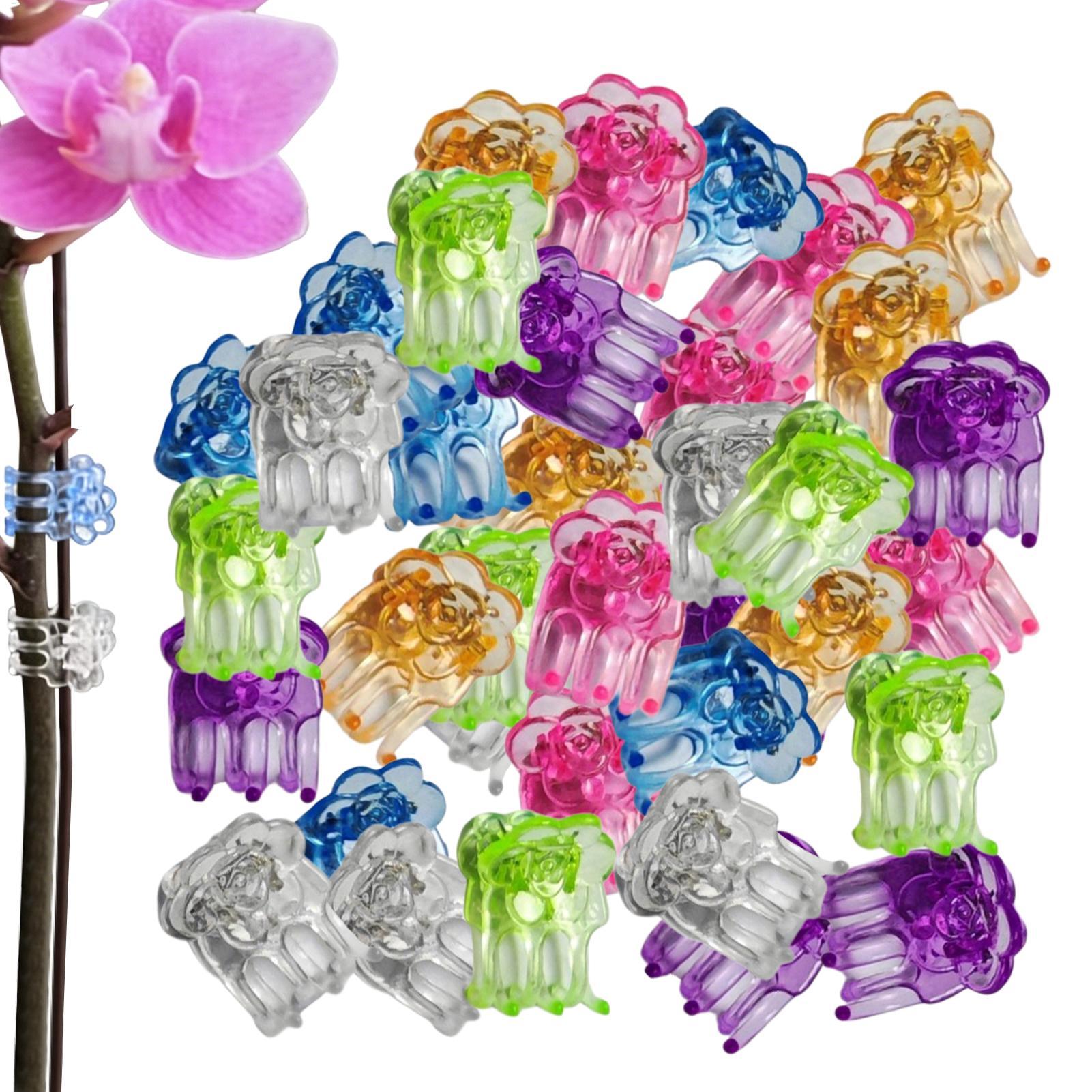 Florist Supp - Klipsy do orchidei 60 sztuk, klipsy