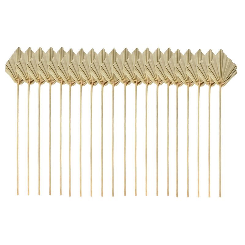 Palm Leaf Dried - ABYN-Boho Suszone palmy, małe naturalne suszone
