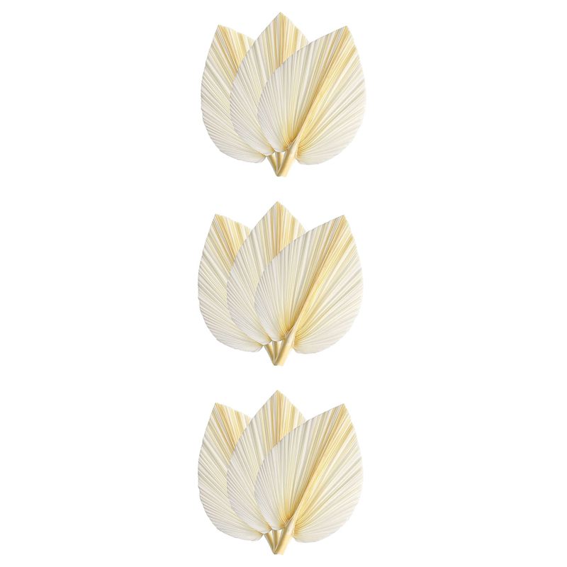 Palm Leaf Dried - Duże Białe Suszone Liście Palmy -