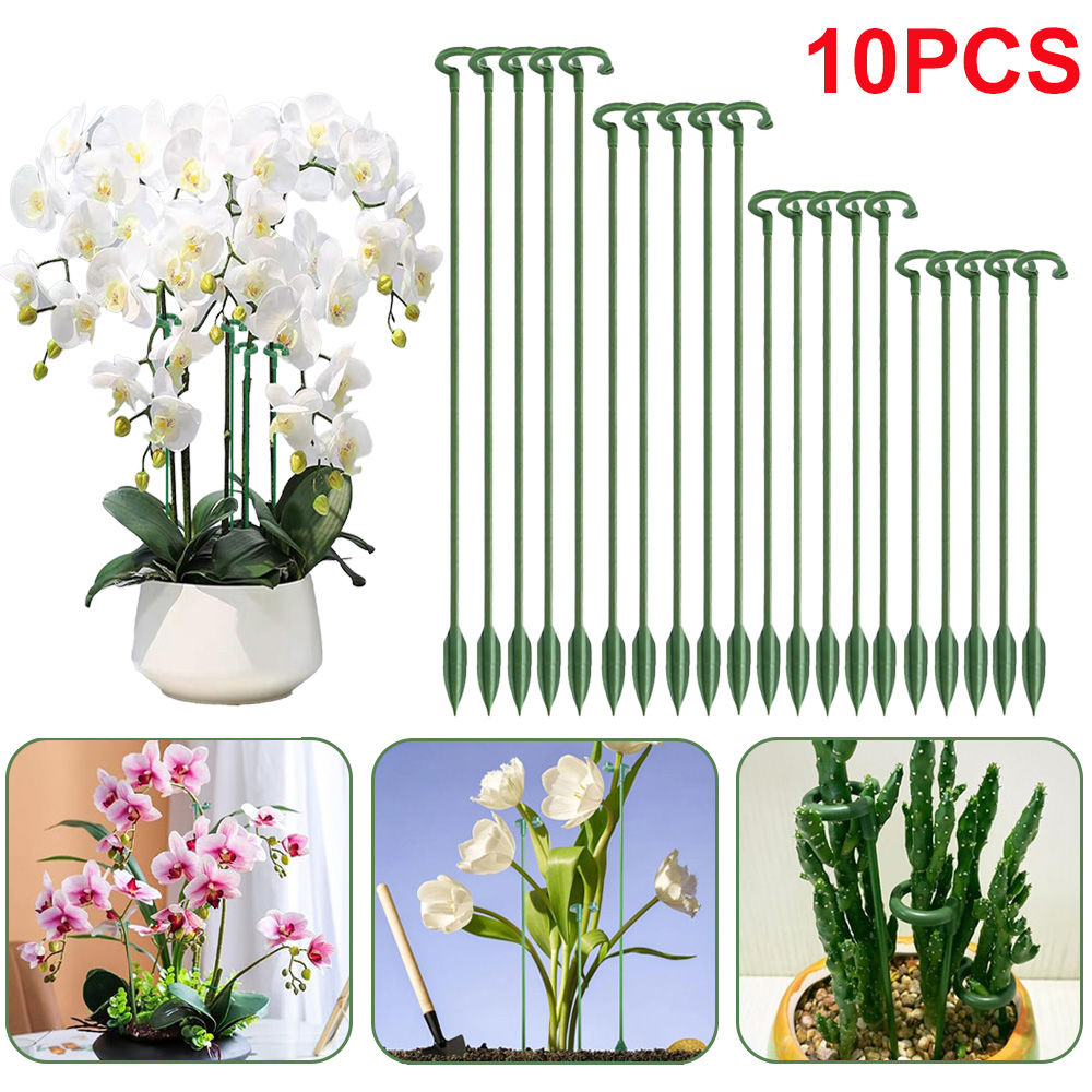 Florist Supp - 5/10 szt. Podpórki do roślin, uchwyty