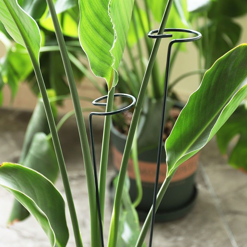 1/10 szt. Metalowy pierścień p – Florist Supp recenzja i cena