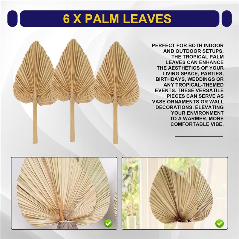 AT84-6PCS Suszone Liście Palmy – Palm Leaf Dried recenzja i cena