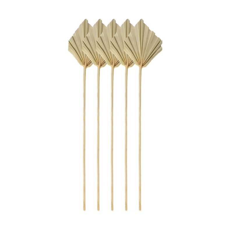 A67P-Boho Suszone palmy, małe  – Palm Leaf Dried recenzja i cena