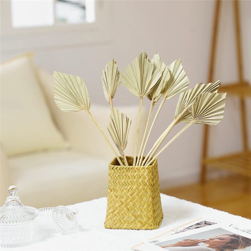 TFORU-Boho Suszone palmy, małe – Palm Leaf Dried recenzja i cena