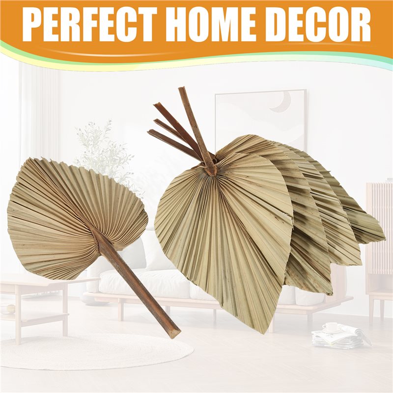 SEWS-5 szt. Naturalne suszone  – Palm Leaf Dried recenzja i cena