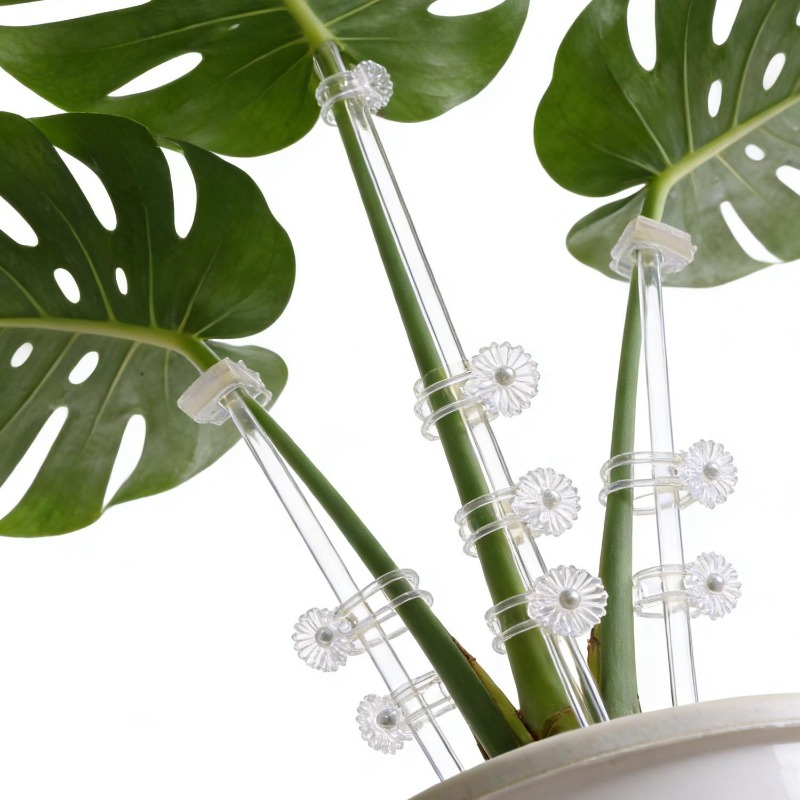 Wielorazowe Przezroczyste Podp – Florist Supp recenzja i cena