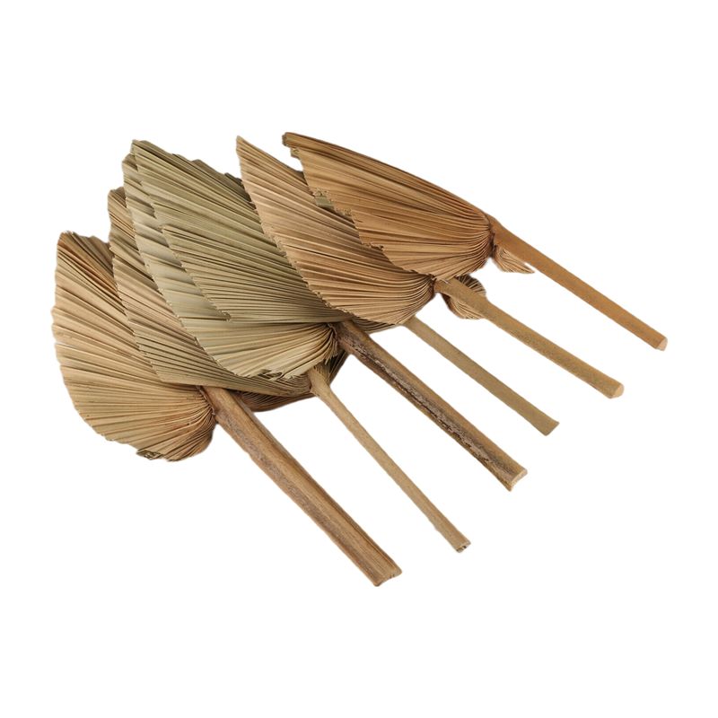 ABKO-6SZT Suszone Liście Palmy – Palm Leaf Dried recenzja i cena