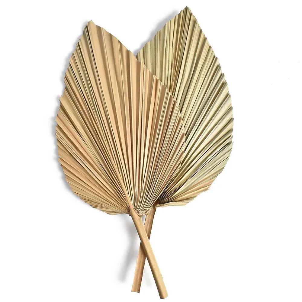 Naturalne suszone liście palmo – Palm Leaf Dried recenzja i cena