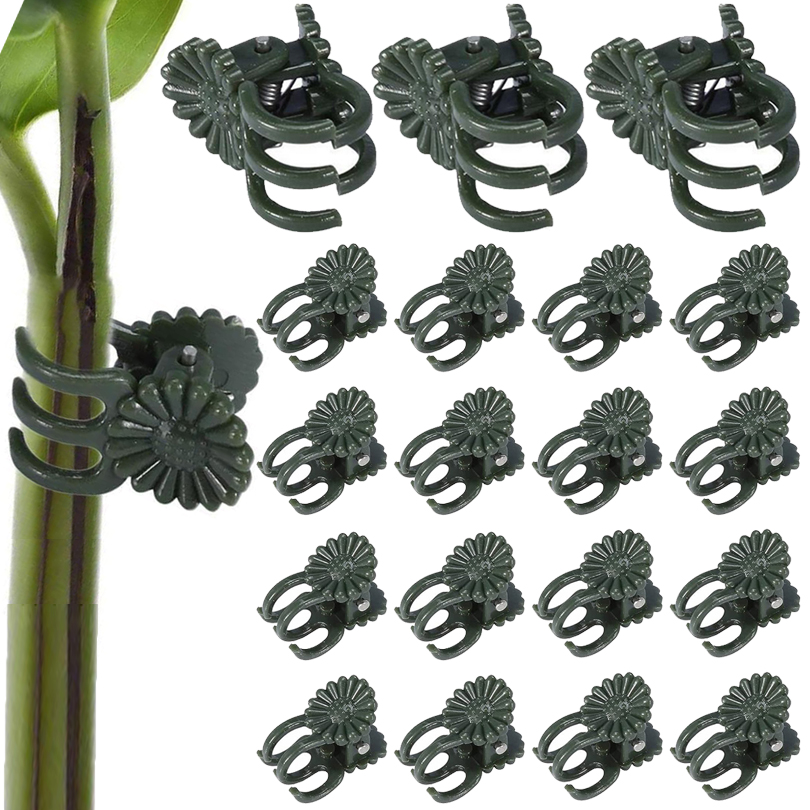 20/50/100 szt. Zaciski do rośl – Florist Supp recenzja i cena