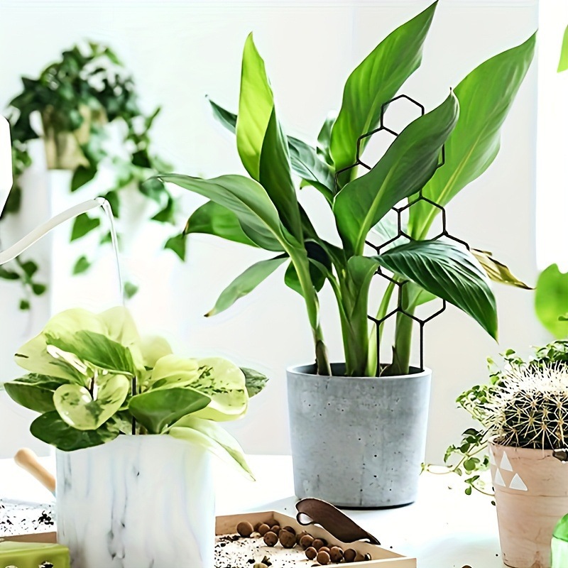 1 szt. Kratka do roślin o stru – Florist Supp recenzja i cena