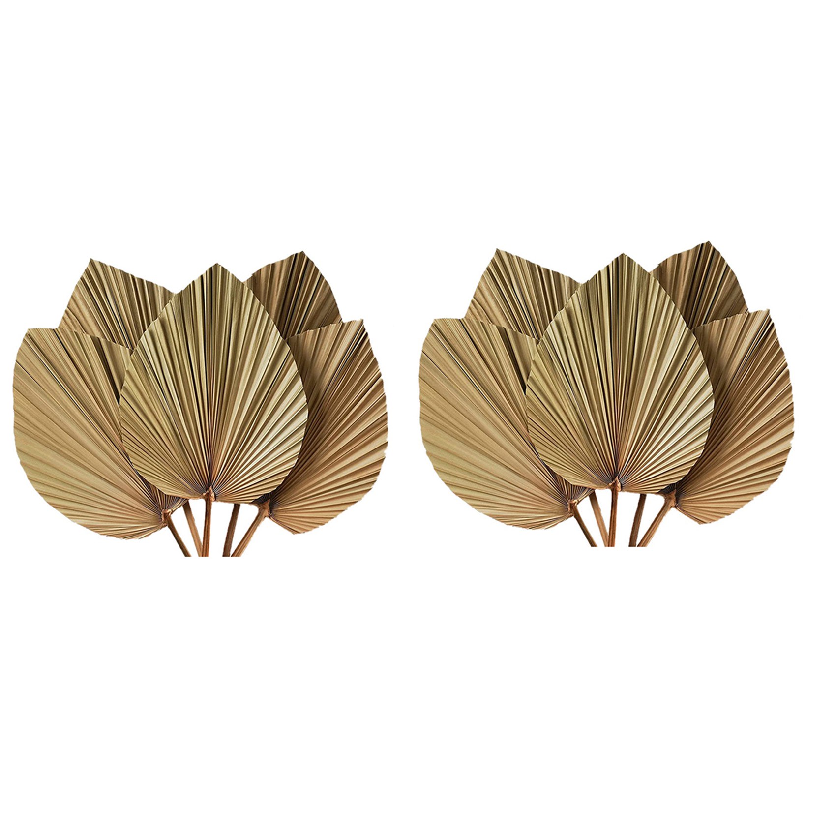 Suszone liście palmowe do deko – Palm Leaf Dried recenzja i cena
